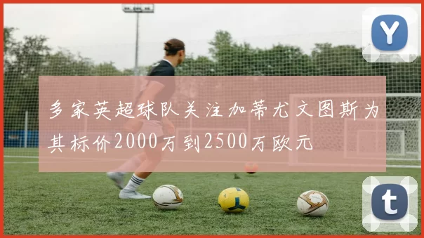 多家英超球队关注加蒂尤文图斯为其标价2000万到2500万欧元